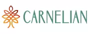 Carnelian Asset Management & Advisors Private Limited PMS